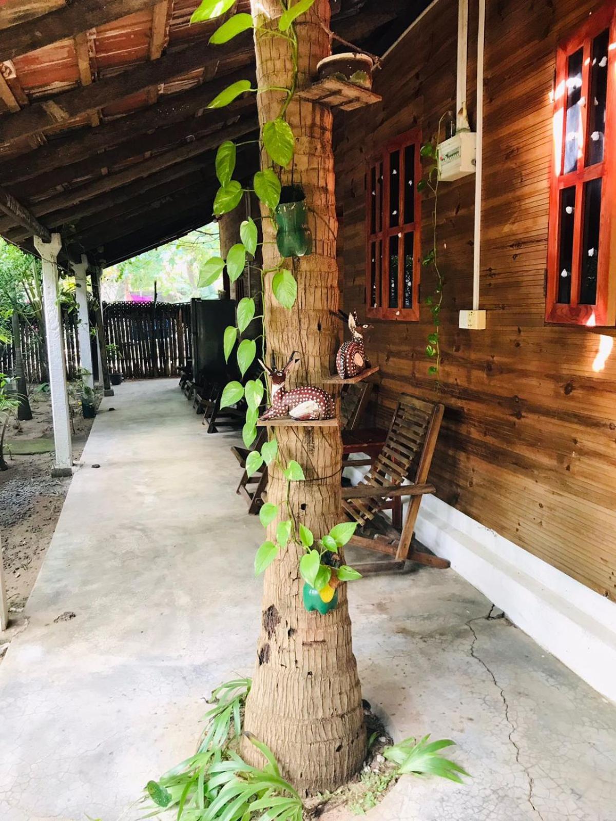 Walkers Hostel Trincomalee Eksteriør billede