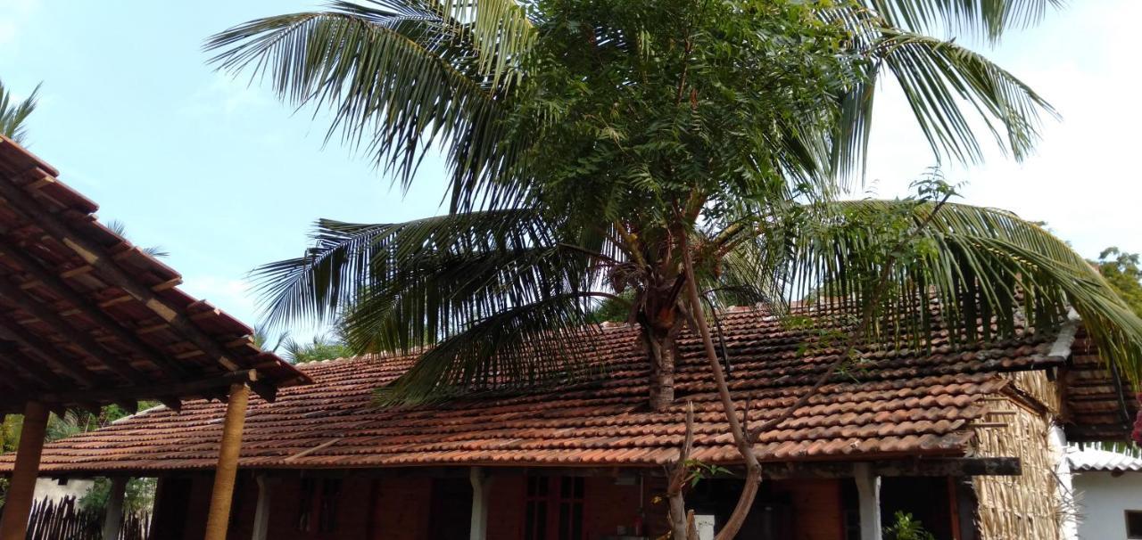 Walkers Hostel Trincomalee Eksteriør billede