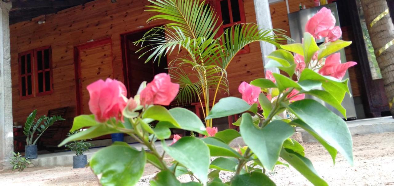 Walkers Hostel Trincomalee Eksteriør billede